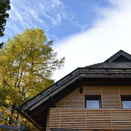 Holiday home Brandnerhutte Turracher Hoehe